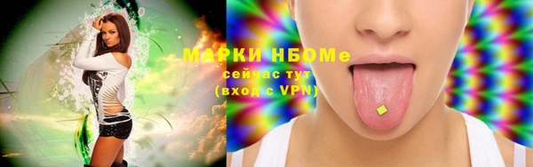 индика Армянск