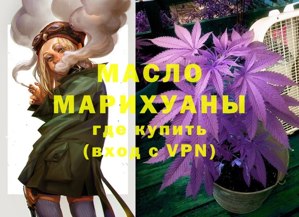 индика Армянск