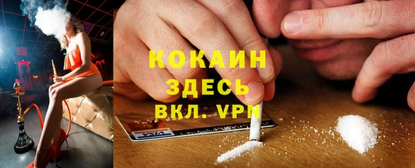 индика Армянск