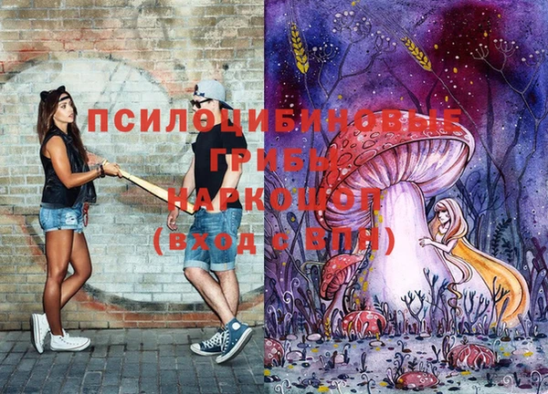 индика Армянск