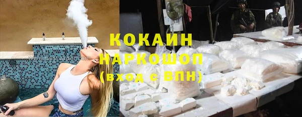 индика Армянск