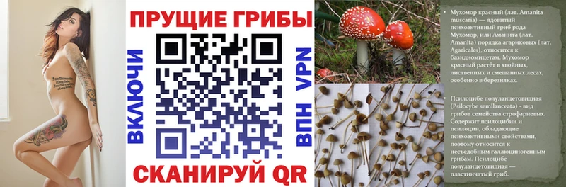 Псилоцибиновые грибы прущие грибы  купить   Дедовск 